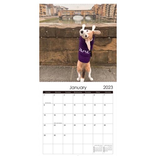 Wall Calendar